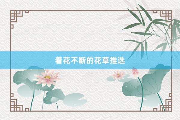 着花不断的花草推选