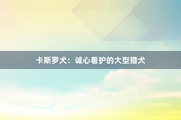 卡斯罗犬：诚心看护的大型猎犬