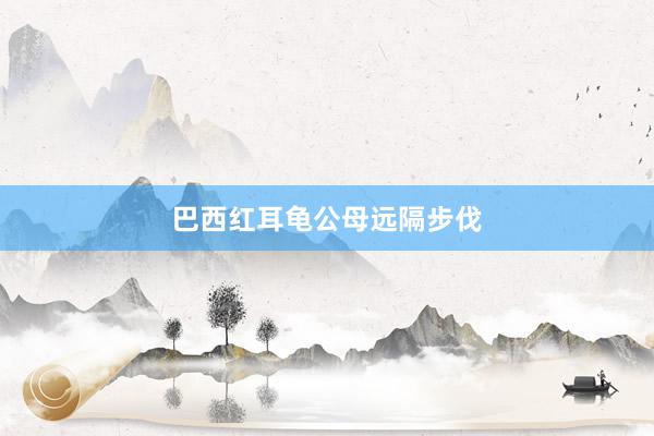 巴西红耳龟公母远隔步伐