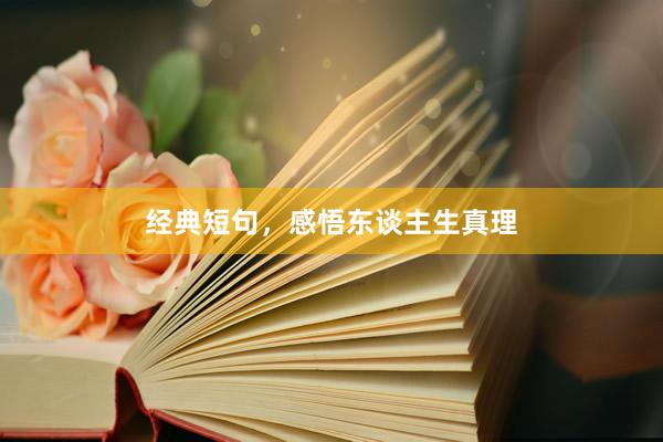 经典短句，感悟东谈主生真理