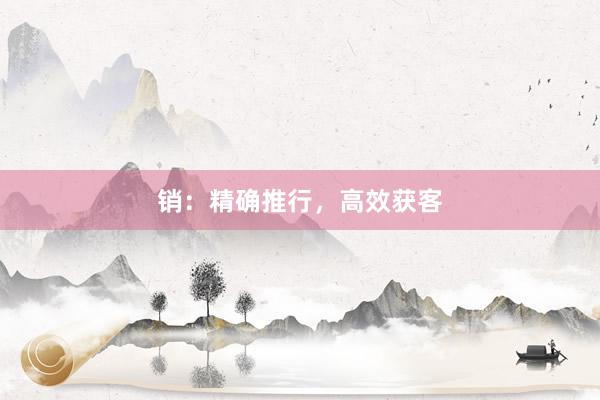 销：精确推行，高效获客